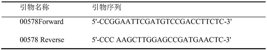 阿拉伯半乳糖苷酶编码基因00578在制备重组桃胶多糖水解酶中的应用