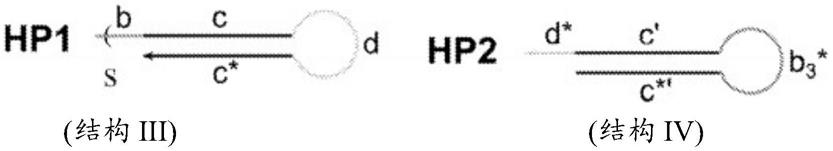 用于檢測生物分子的探針測定