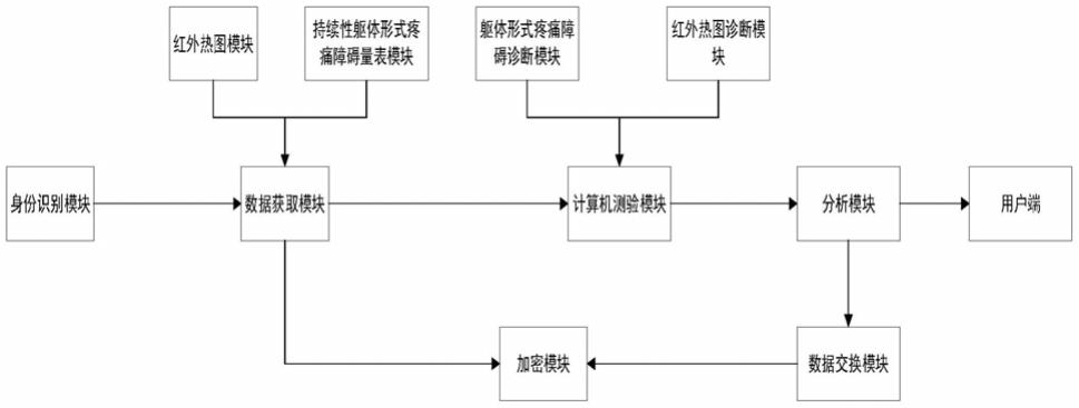 一种针对持续性躯体形式疼痛障碍红外热图诊断的系统