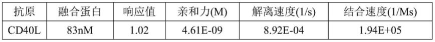 一种结合CD40L的融合蛋白及其应用的制作方法