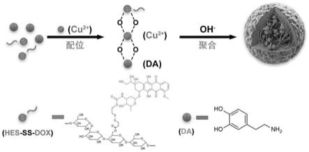 一种羟乙基淀粉前药稳定的铜掺杂聚多巴胺纳米药物、其制备和应用
