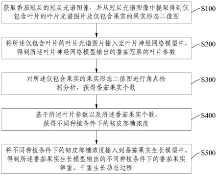 一种番茄果实生长预测方法、装置、设备及产品