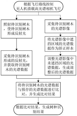 基于高光谱的树木种类识别方法、系统及存储介质与流程