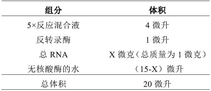 包含微生物油脂的组合物及其应用的制作方法