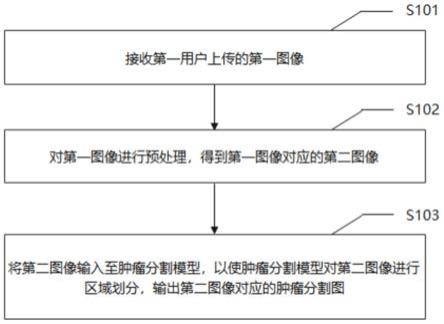 一种基于MR图像的鼻咽癌识别及肿瘤分割方法及系统