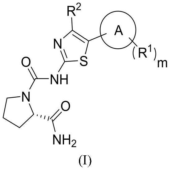 噻唑类衍生物及其制备方法和用途与流程