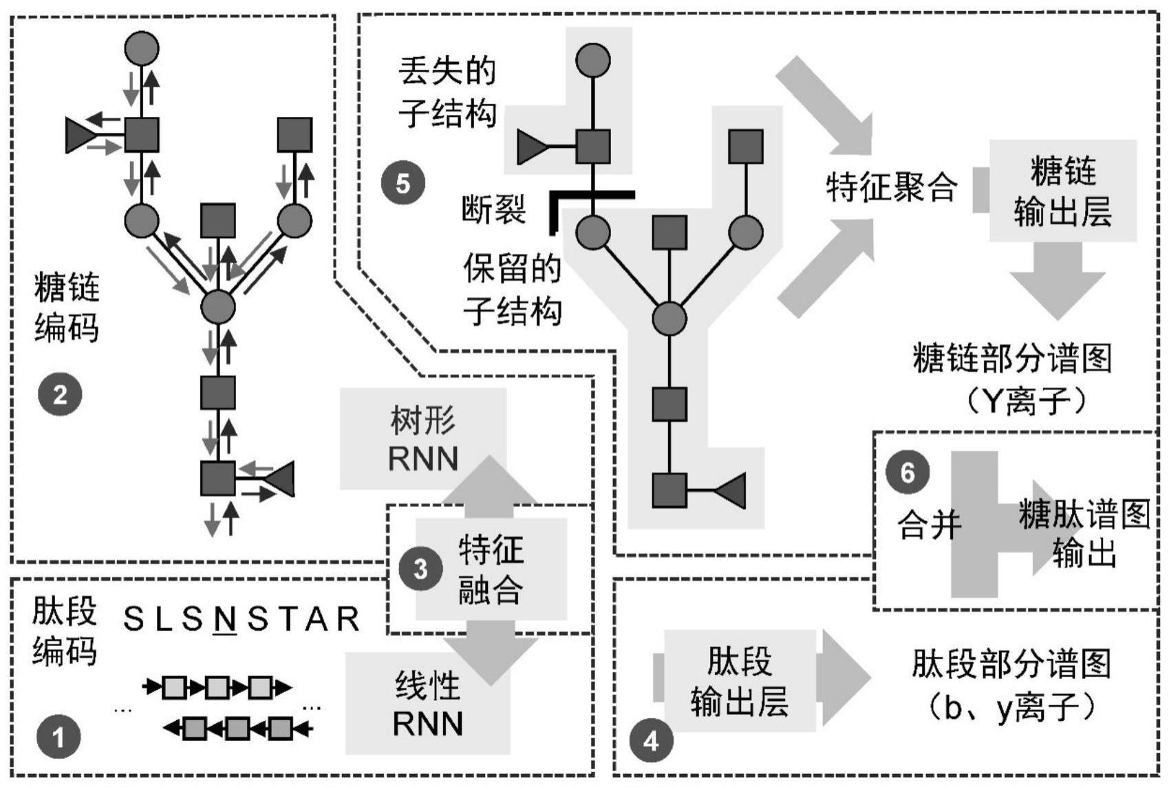 一种基于深度学习的糖肽质谱图预测装置