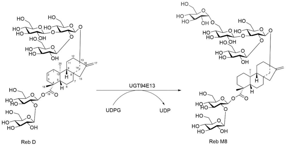 一种新型甜菊糖苷衍生物莱鲍迪苷M8的制备方法