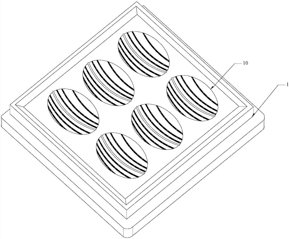 胚胎分割工具图片