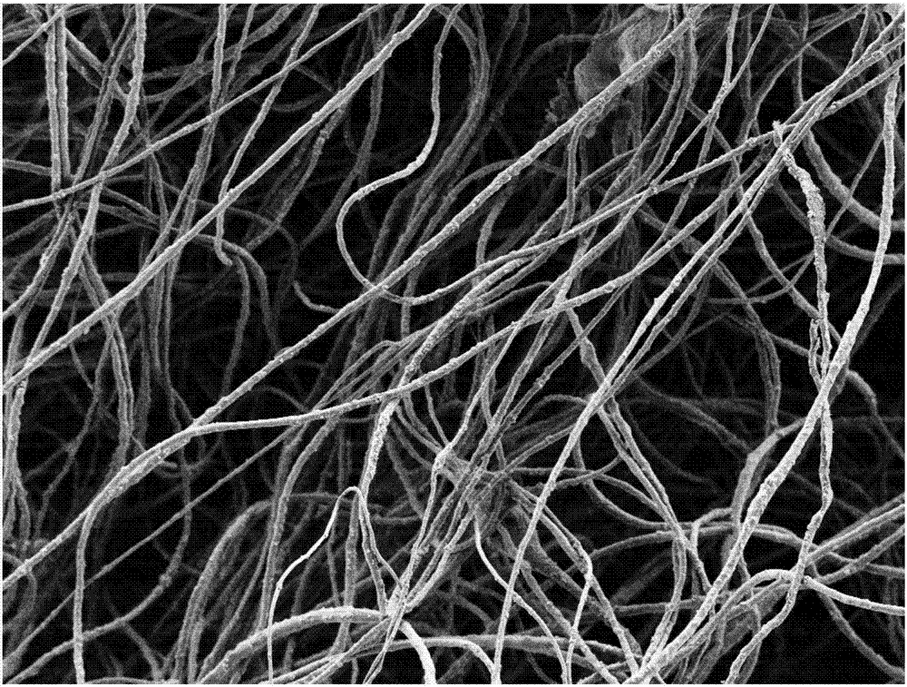 一种蓬松态磁性纳米纤维及其制备方法与流程