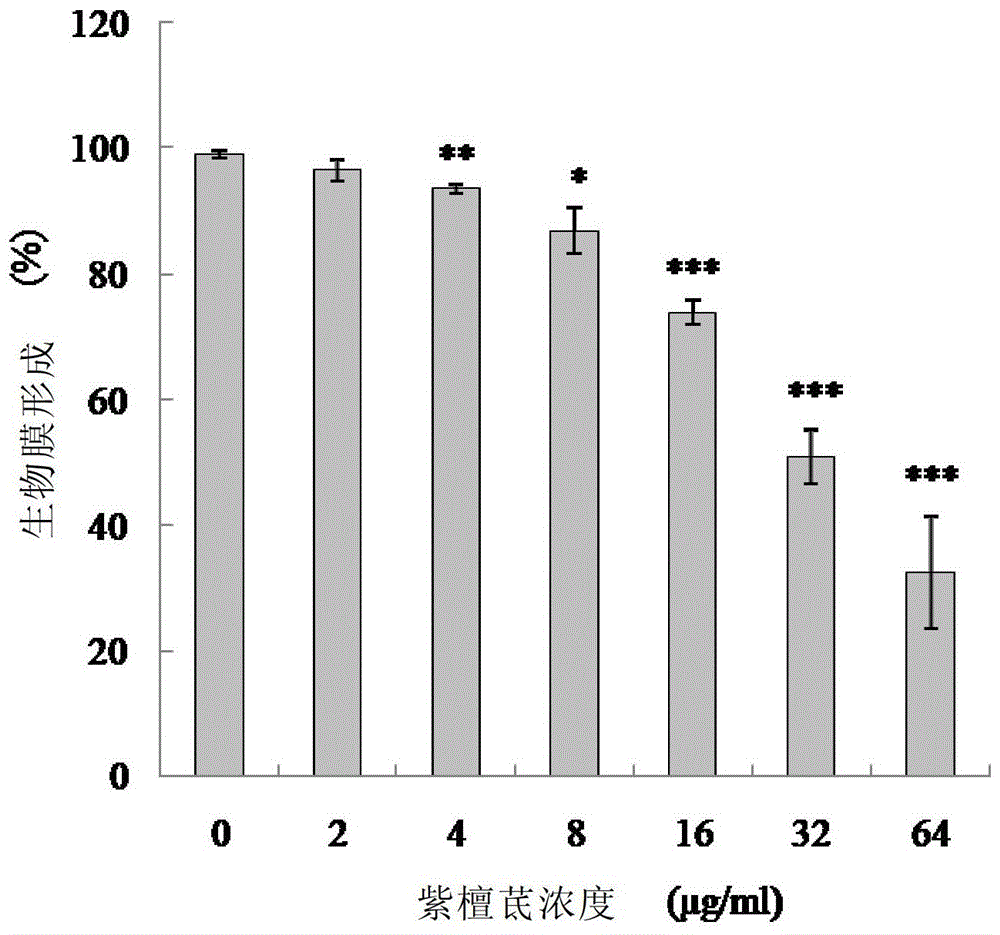 紫檀茋用于抗真菌生物被膜药物的应用的制作方法