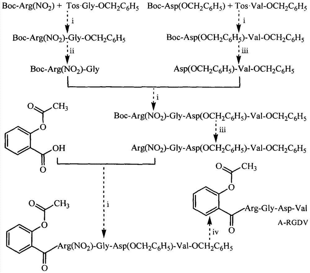 阿司匹林‑Arg‑Gly‑Asp‑Val缀合物,其合成,纳米结构和作为载药体系的应用的制作方法与工艺