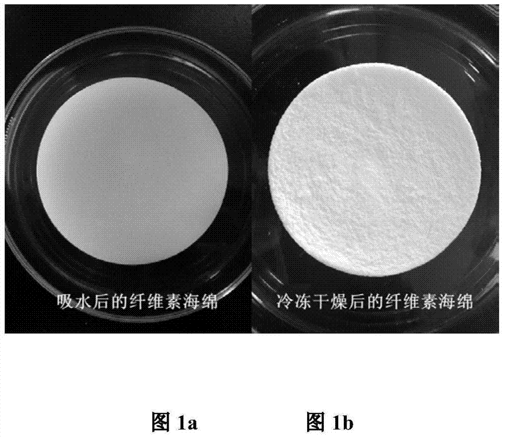 一種超親水?超疏油纖維素海綿及其制備方法與流程