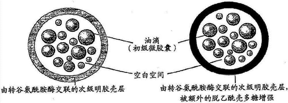 具有改进壳层的微胶囊的制作方法与工艺