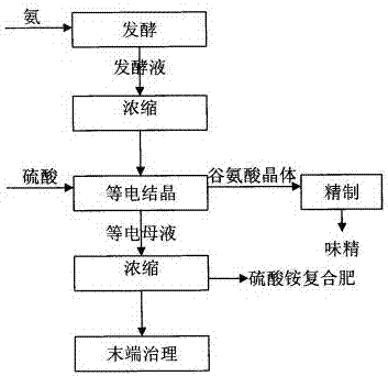 谷氨酸发酵过程图片