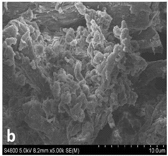 一種用于3D打印的生物墨水材料及其制備方法和應用與流程