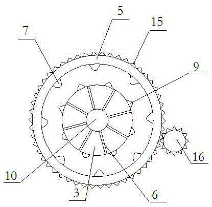 水果、根莖清洗設(shè)備的制作方法與工藝