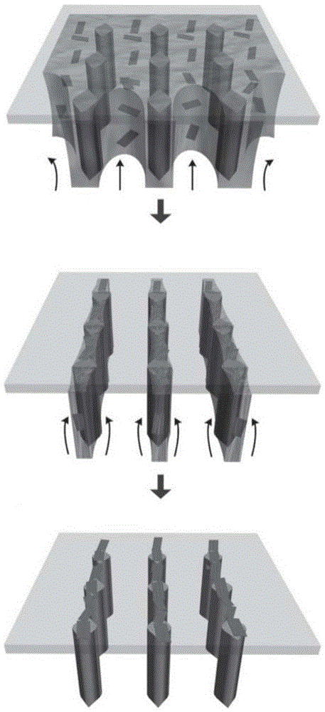石墨烯-聚合物微米线阵列和气体传感器以及它们的制备方法和应用与流程