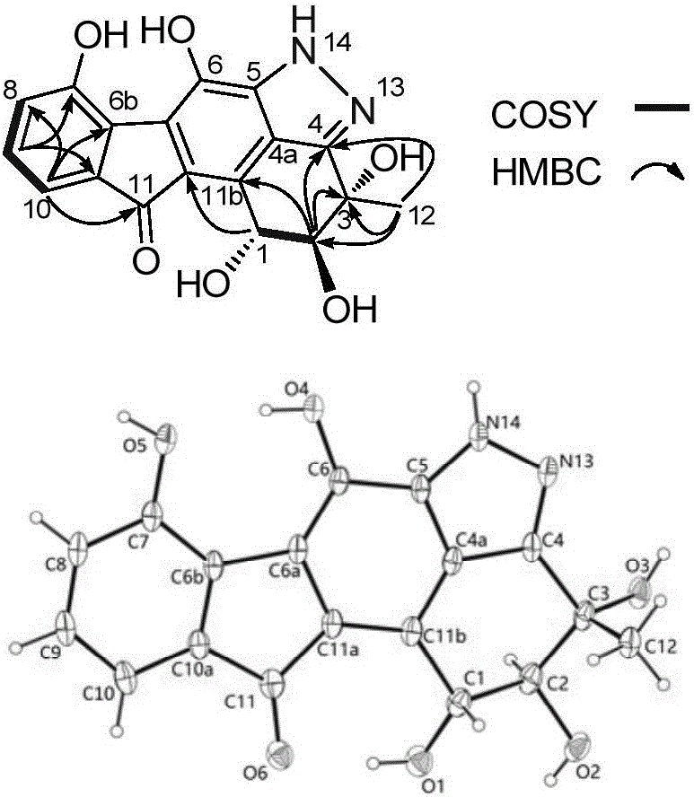 抗生素pyrazolofluostatin A?C及其制備方法和應(yīng)用與流程