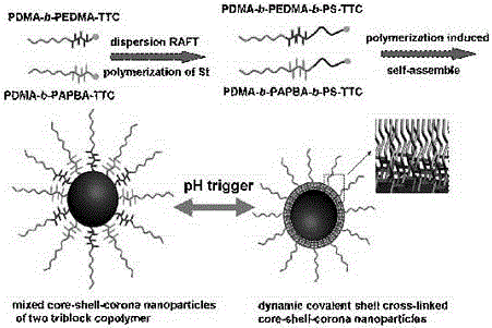 一种pH响应性动态壳交联聚合物纳米粒子及其制备方法与流程