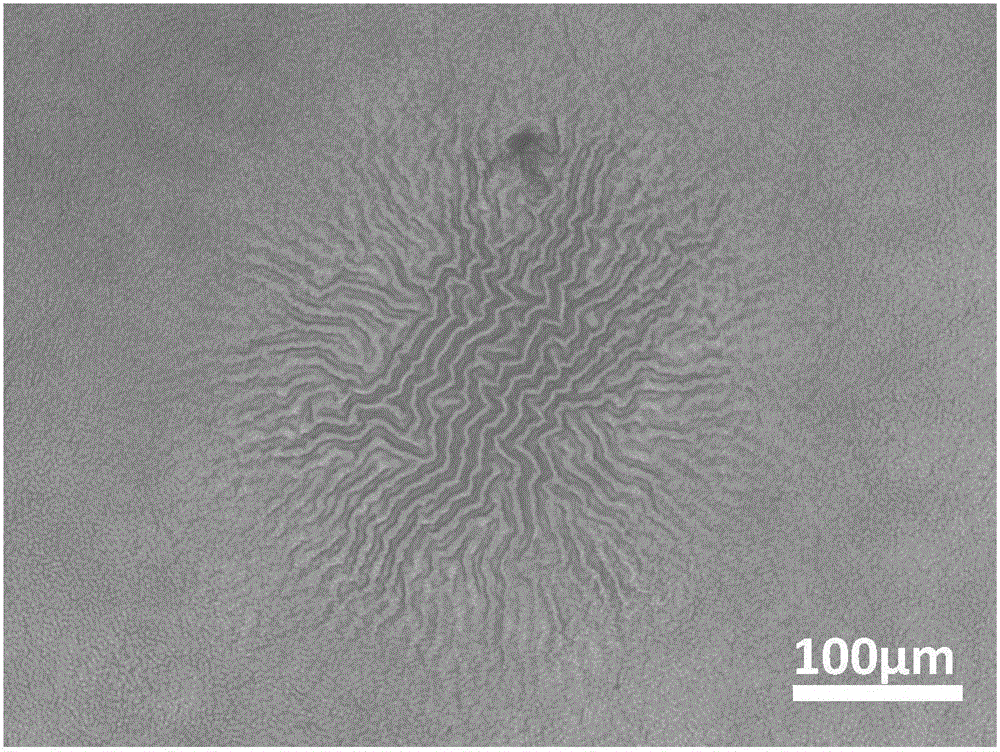 一种利用激光加工制备表面图案化聚合物薄膜的方法与流程