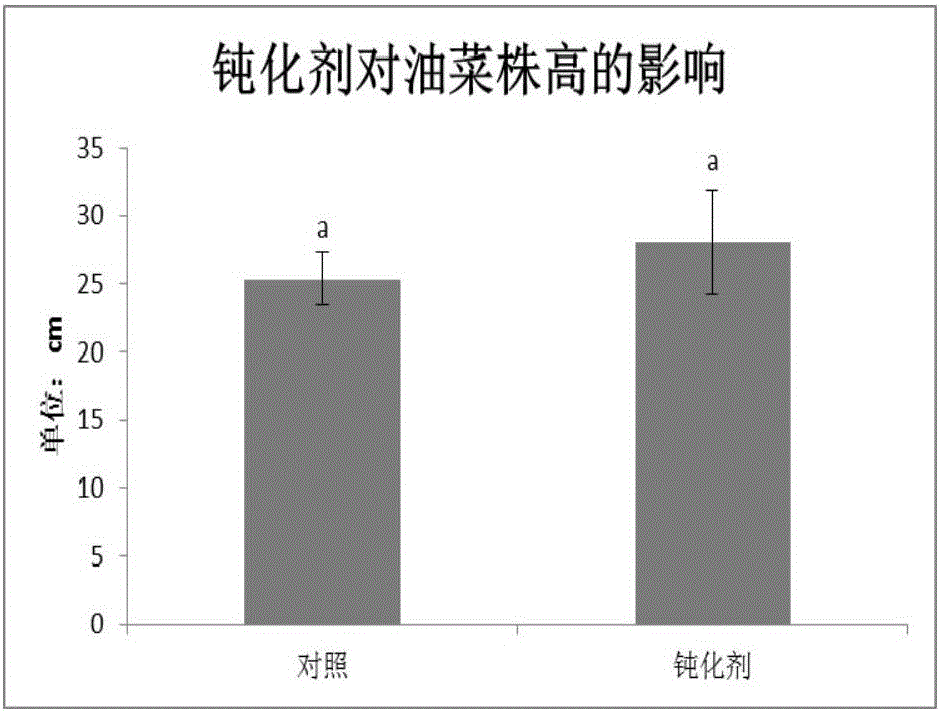 活性麥飯石土壤重金屬離子吸附鈍化劑及其制備方法與流程