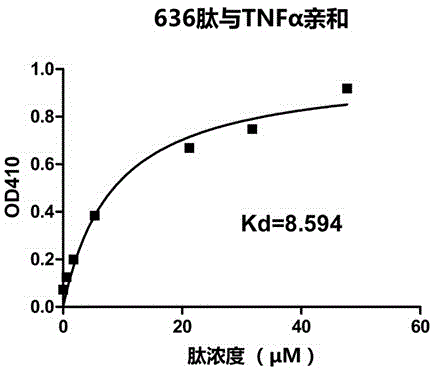 一种肿瘤坏死因子alpha的高亲和性肽及其应用的制作方法与工艺