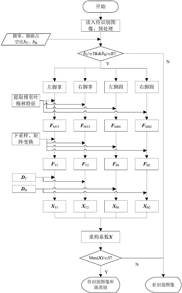 一种基于多样本联合表示的足迹图像识别方法与流程