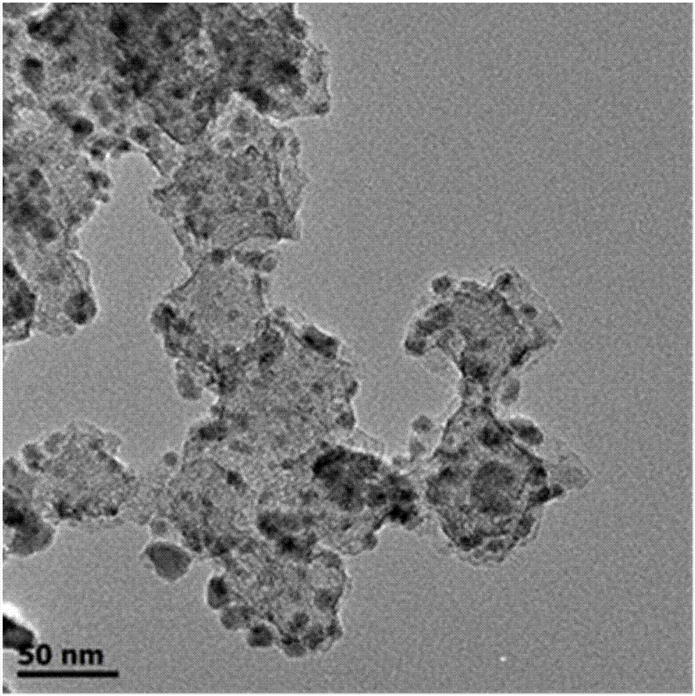 一种钴氮共掺杂的氮碳材料载体负载的纳米氮化镍铁复合材料及其制备方法和应用与流程