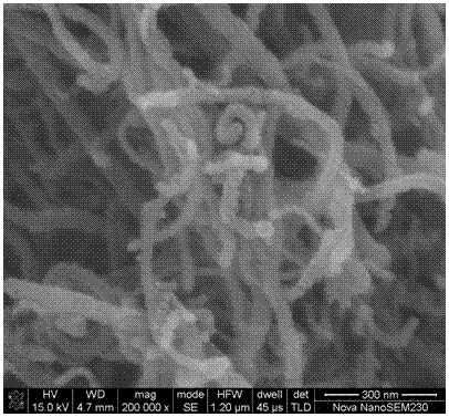 一种硫化锡/碳纳米管复合纳米负极材料及其制备方法与流程
