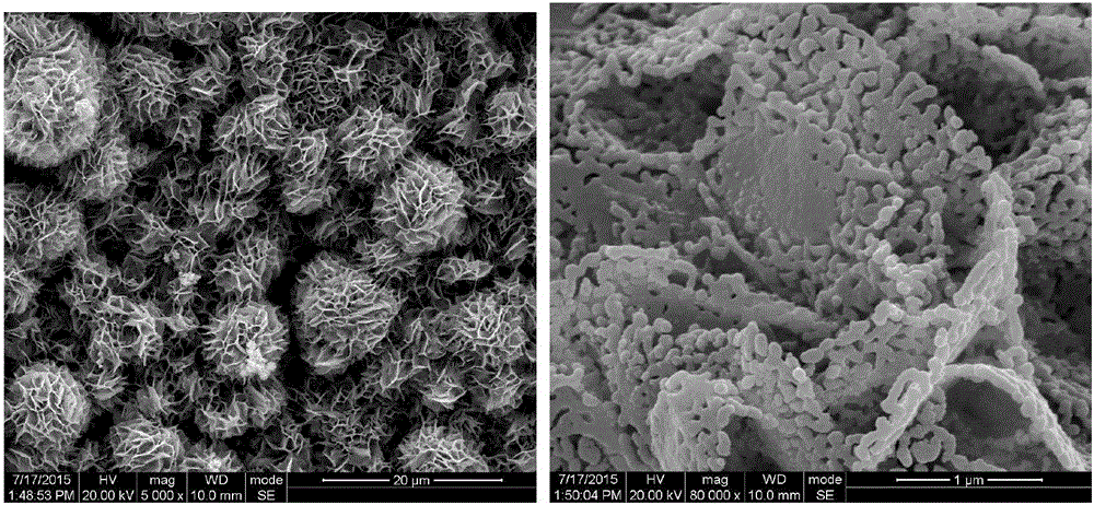 一种氧化铜花状纳米结构材料及其制备方法与流程