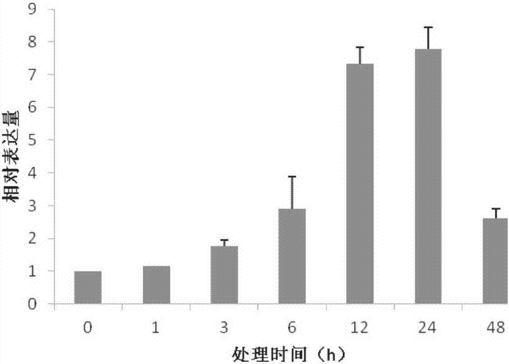 植物抗逆性相关蛋白TabZIP14及其编码基因与应用的制作方法与工艺