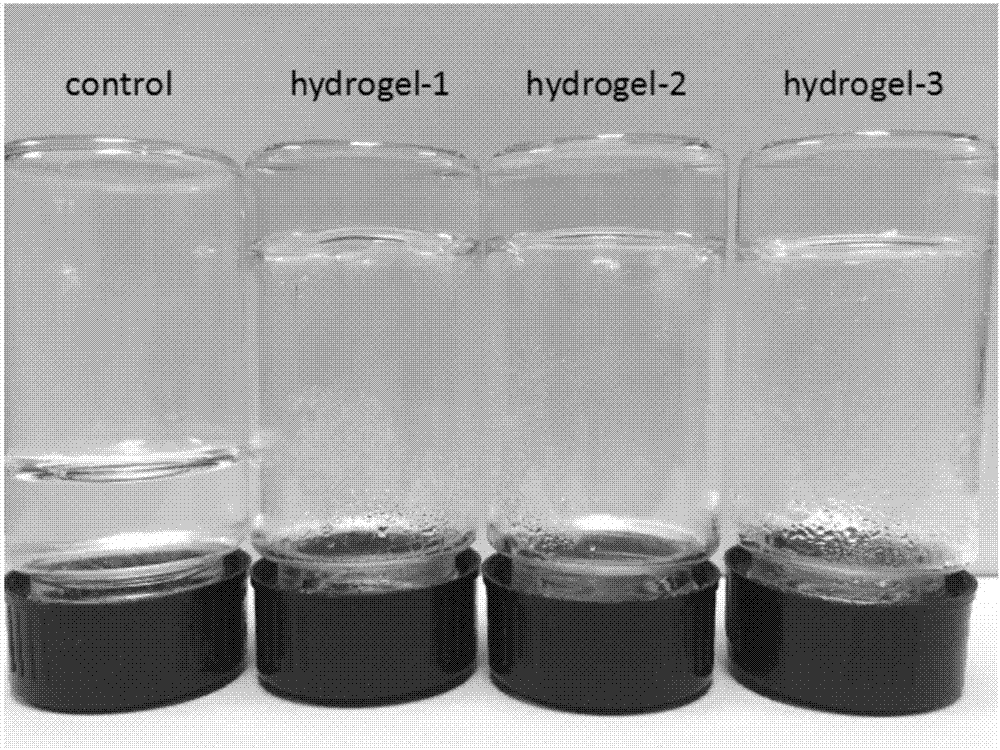 一种羧甲基壳聚糖pH敏感性水凝胶药物载体的制备方法与流程