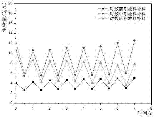 一种纤细裸藻的培养方法与流程