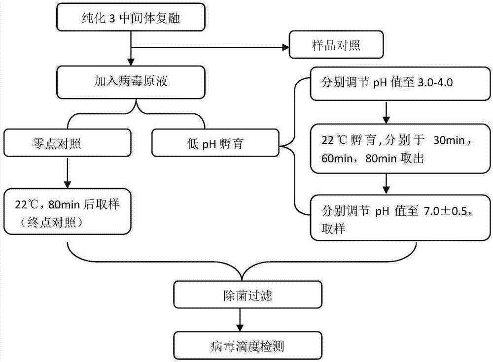 尿激酶机制图片