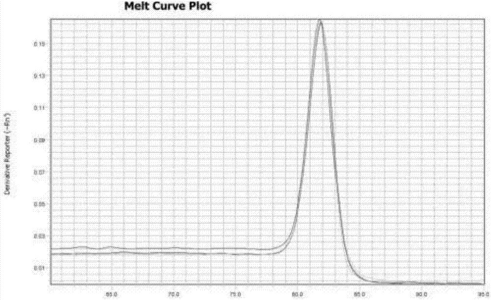 melt curve图片