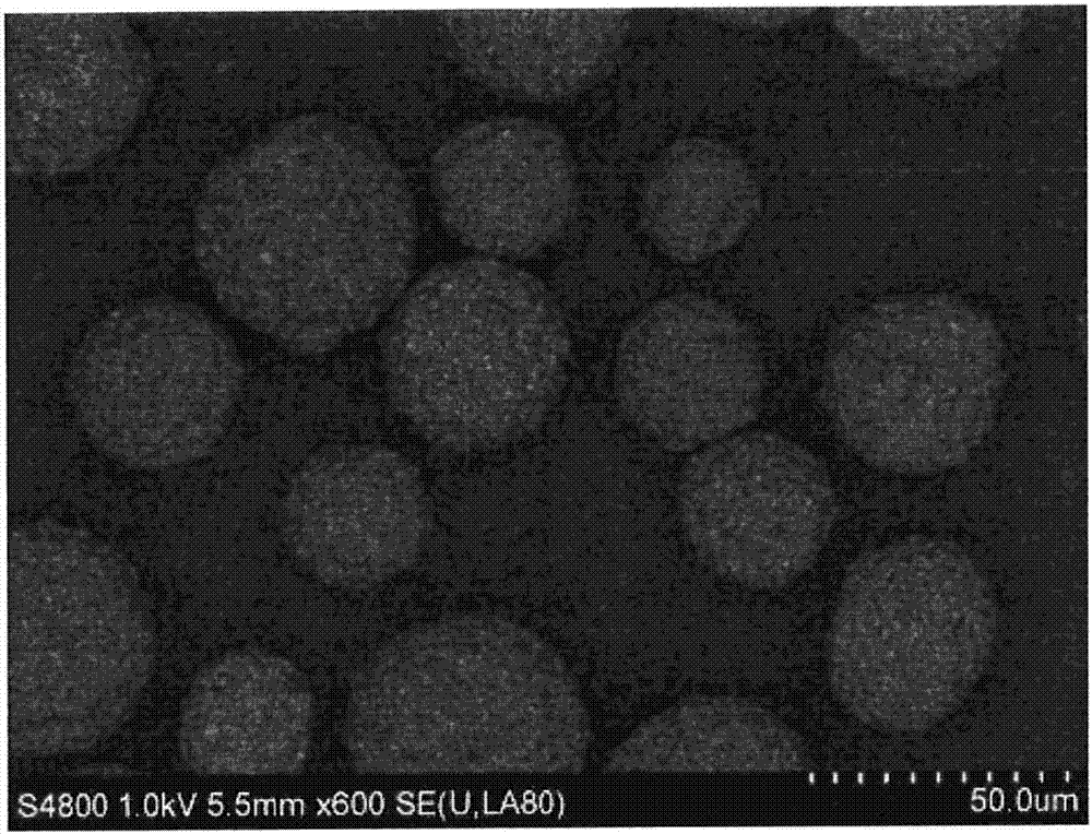 調(diào)色劑、磁性載體和雙組分顯影劑的制作方法與工藝