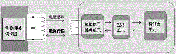 用于记录动物身份信息的芯片的制作方法与工艺