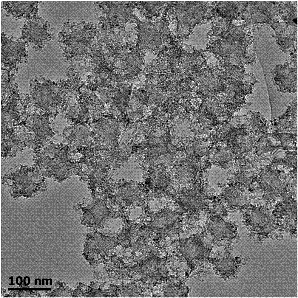一种钴氮共掺杂碳载体负载的纳米镍铁水滑石复合材料及其制备方法和应用与流程