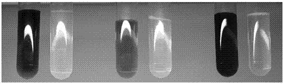 一种高通量的石墨烯/碳纳米管复合纳滤膜的制备方法与流程