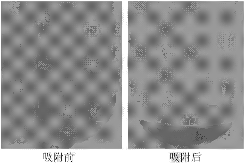 一種用于去除藥物合成體系中貴金屬離子的有機(jī)高分子吸附劑及其制備方法與流程