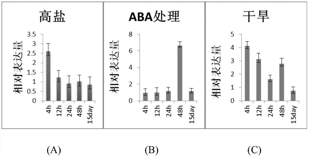 一種玉米籽粒發(fā)育相關蛋白、編碼基因及應用的制作方法與工藝