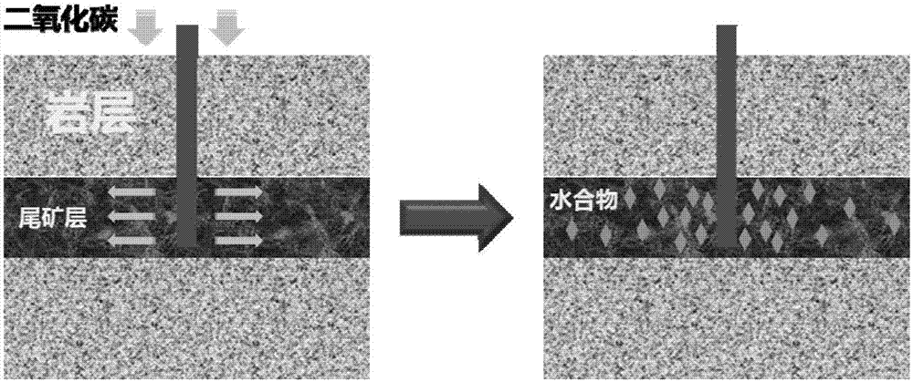 一種二氧化碳地質(zhì)封存結(jié)構(gòu)和封存方法與流程