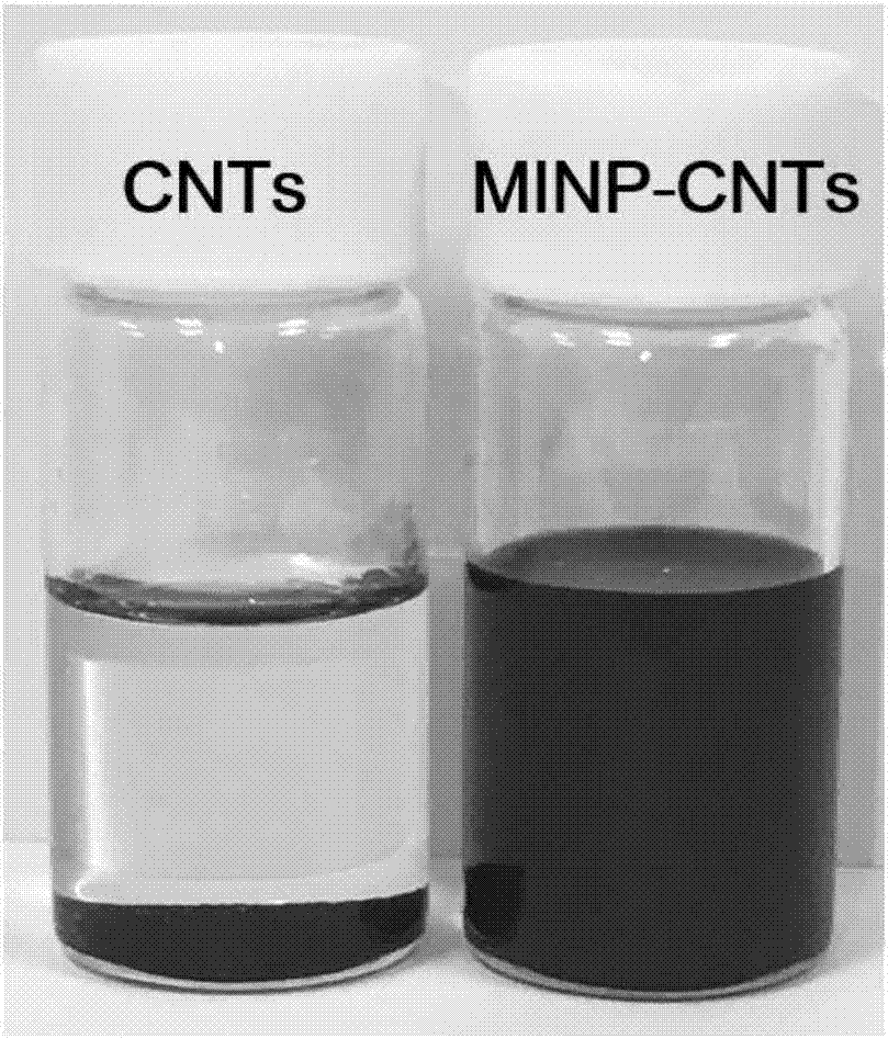 一种基于碳纳米管负载聚合物胶束制备柔性分子印迹传感器的方法与流程