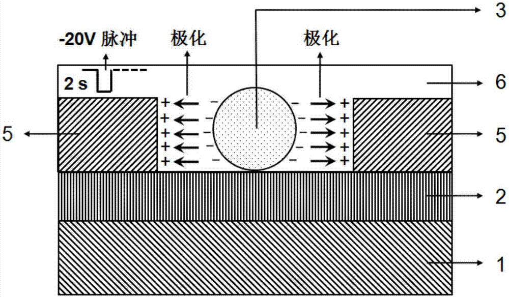 全耗盡鐵電側(cè)柵單根納米線近紅外光電探測器的制作方法與工藝