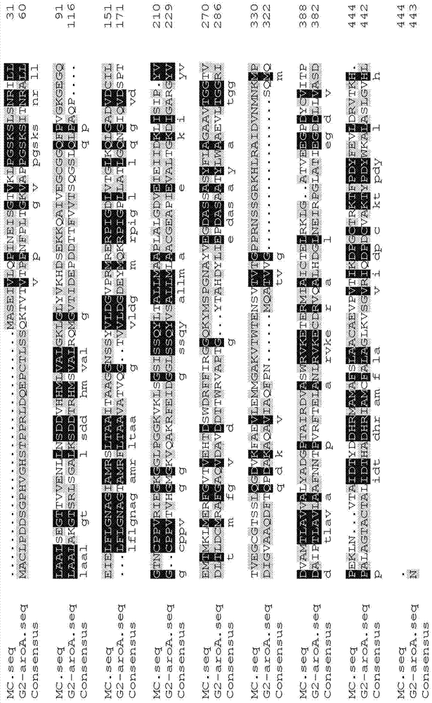 一種抗草甘膦融合蛋白及其編碼基因、產(chǎn)生方法與應(yīng)用與流程