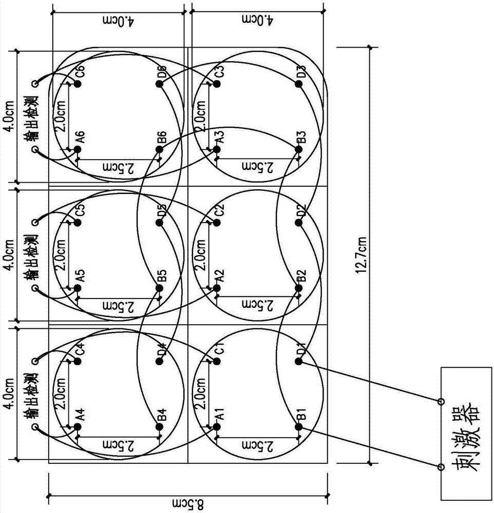 一种六孔板铂电极场刺激器的制作方法与工艺