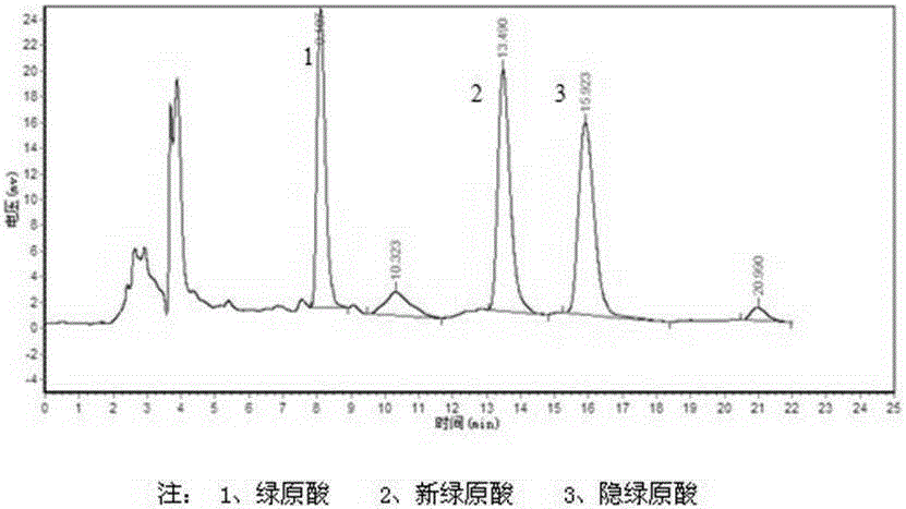 一种分离纯化桑叶中绿原酸类成分的方法与流程