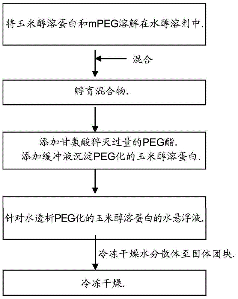 綴合蛋白的聚合物膠束的制作方法與工藝