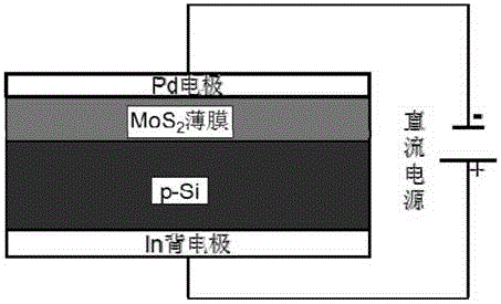 一種MoS2/Si p?n結太陽能電池器件及其制備方法與流程